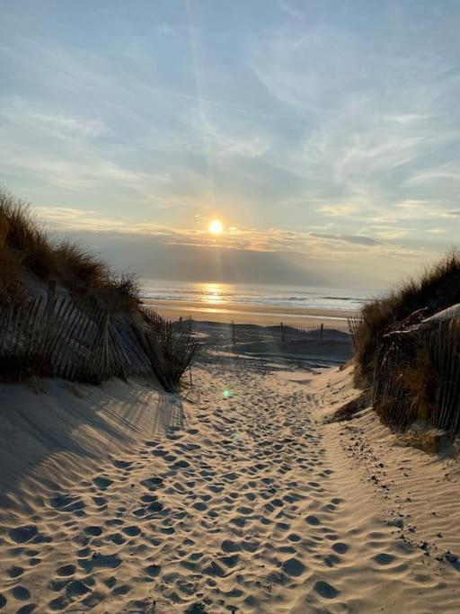 Studio Entre Mer Et Dunes Avec Balcon Vue Laterale Mer 50M Plage Pour 3 Pers Wifi Menage Compris Fort-Mahon-Plage Exteriör bild